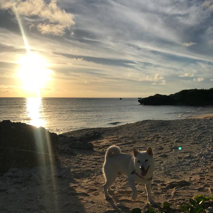 Ea87b1a2 382a 483a 8959 3e756bf82d55 1537178028966