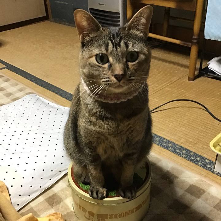 Ea87c336 b8b6 4495 a696 99076d463274 1667306170295