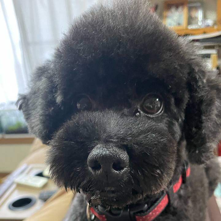 Ea87dc38 48f5 4c6b b600 3a82360f8821 1694843125842