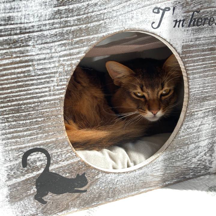 Ea87eba6 a775 4944 9004 d81b36e0d4f0 1614747493936