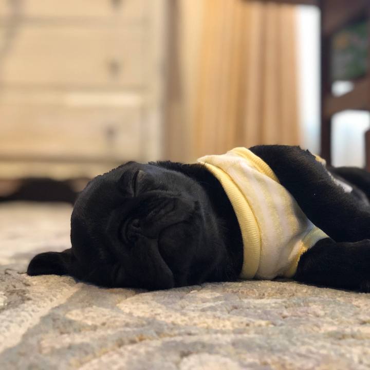 Ea882a07 857f 4cbf 903c 2a3c43e82a99 1587367766881