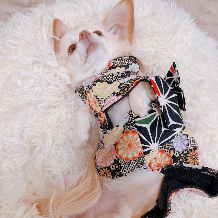 Ea883105 7441 472a b28d e286f182af61 1673682338916