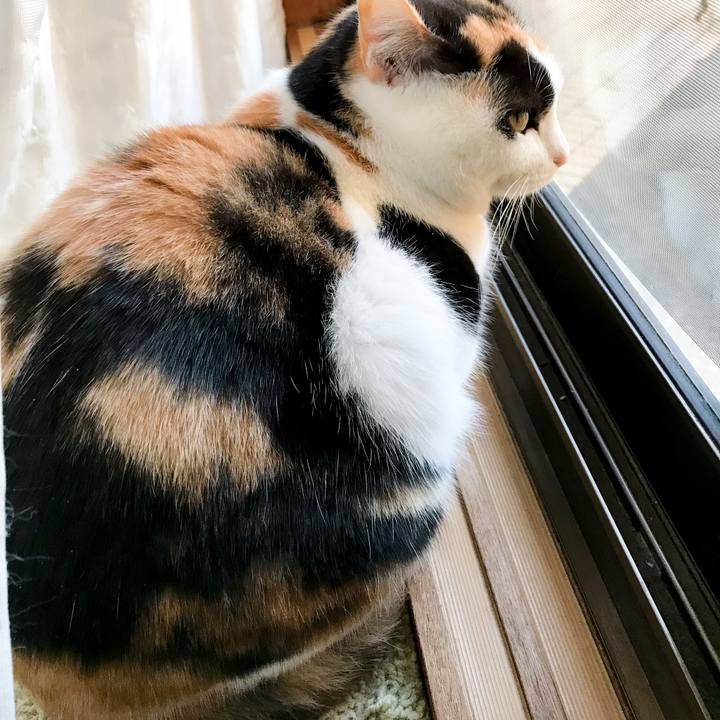 Ea889808 e870 4421 8921 3ddc6a770885 1518920070552