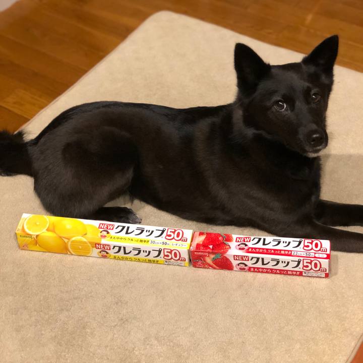 Ea88b73b da57 4dac bc44 50ef92772dec 1585178895301