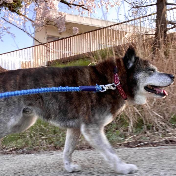 Ea88d502 5e76 4498 afe1 74e587c8a463 1713165985241