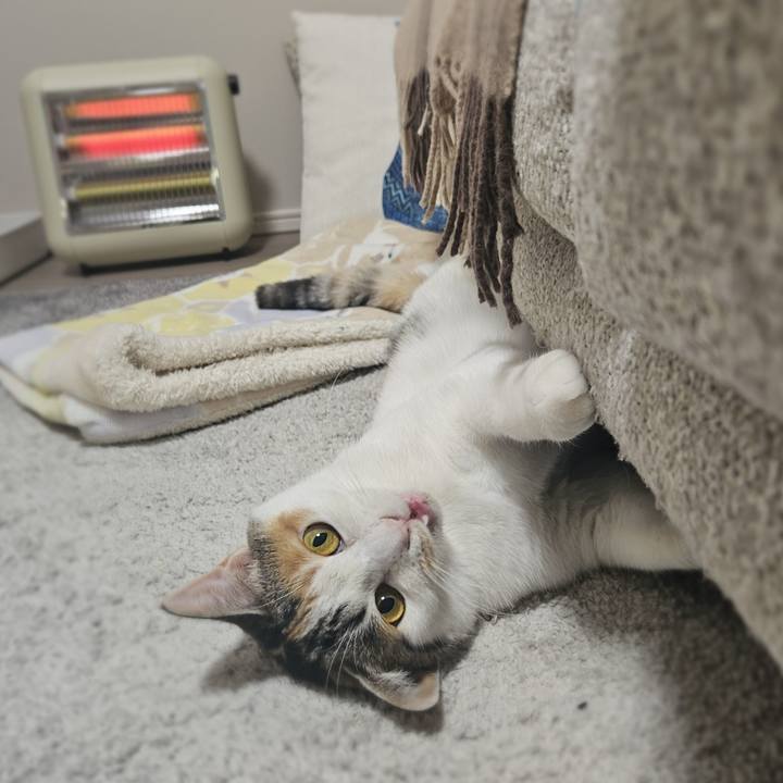 Ea88f414 d294 4835 81b0 a21150c931da 1764920494842