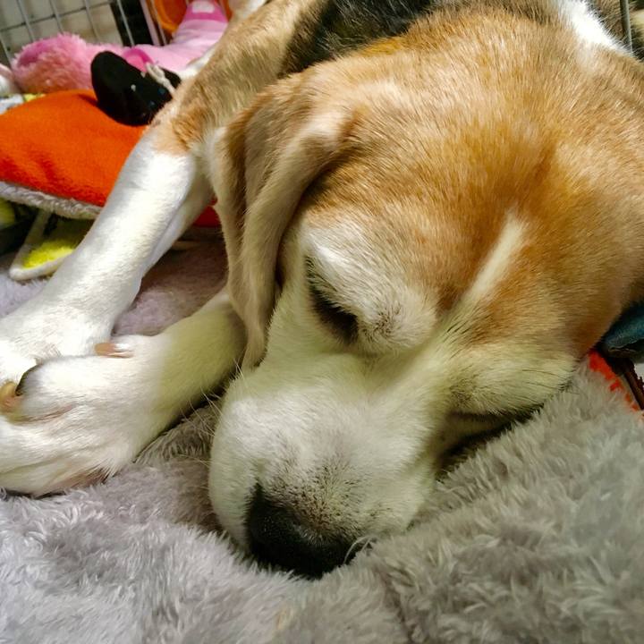 Ea8918fe 18b6 4a3c 97a8 ad9335b880f2 1746762499070