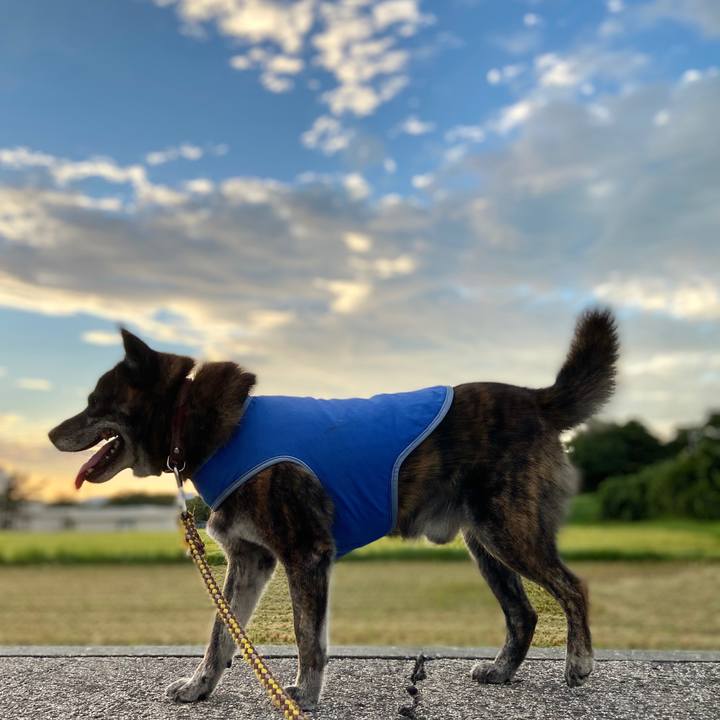 Ea895c57 4b8a 4aec 9228 65d8a3ac190c 1599470570100