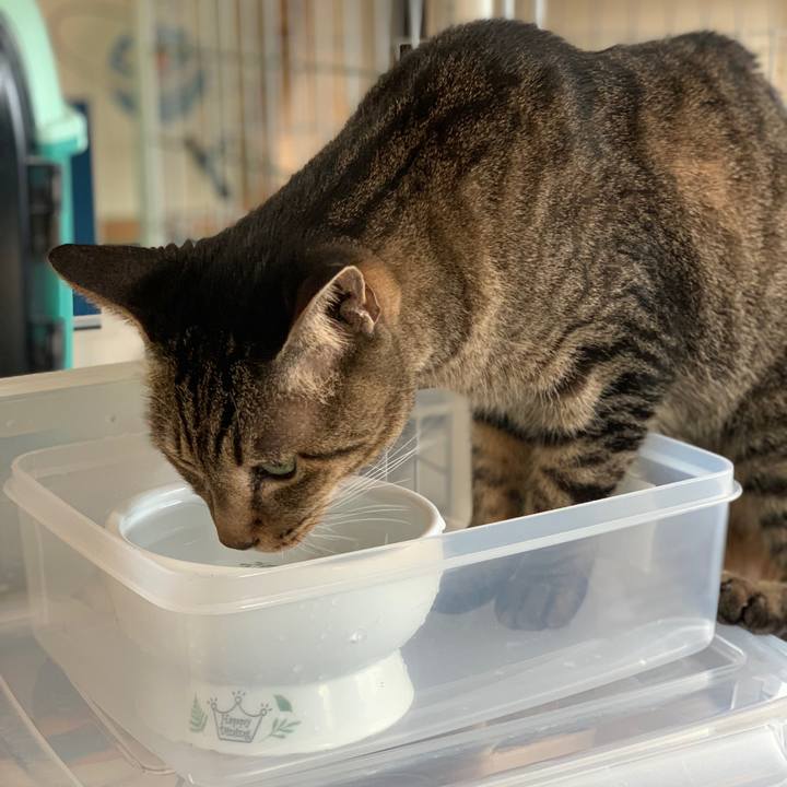 Ea895d30 0004 47b9 9c32 2845b4741ed2 1580608310159