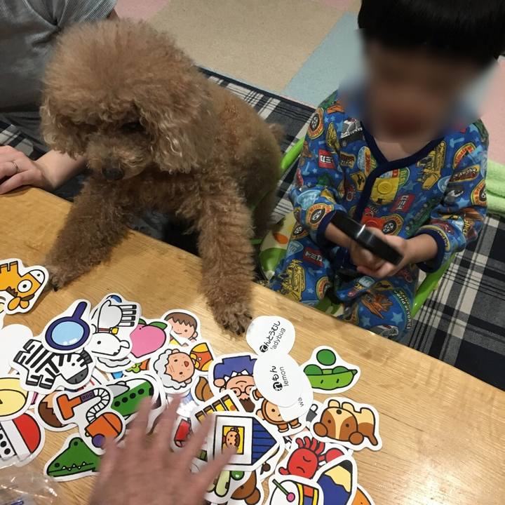 Ea895f9b 08c6 4799 ae3f 69f228b31b93 1525349689585