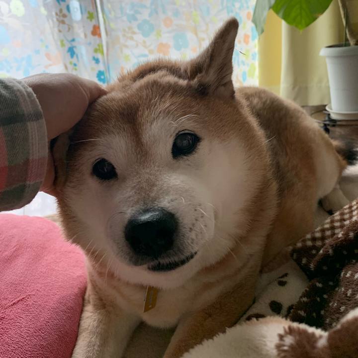 Ea898739 8f10 47b2 a803 a1214728f824 1574473009889