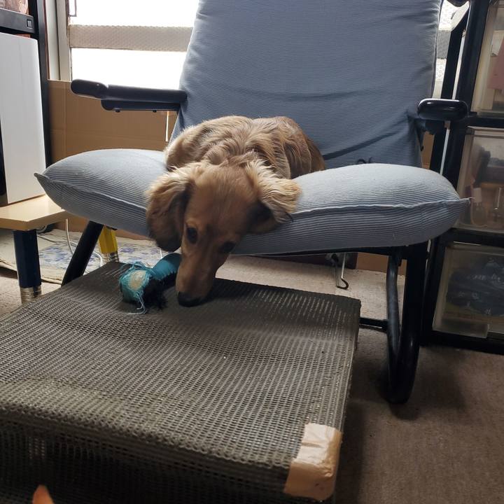 Ea899a79 d550 49ff bf53 9a2cb3b3c693 1772243003219