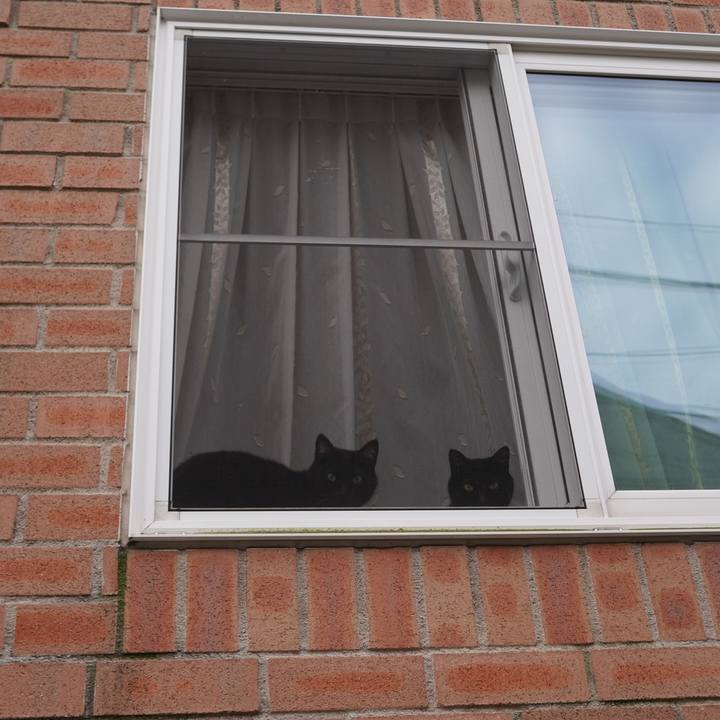 Ea89c34a 1449 440b 9fba 5af985cc4eb5 1604619339046