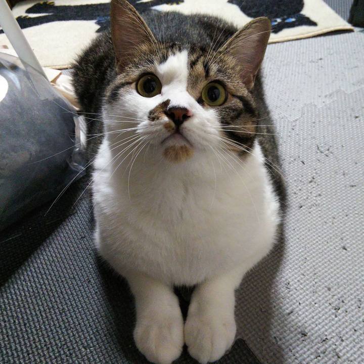 Ea89cd22 1cd0 4f46 9adb baa228565958 1629113905747