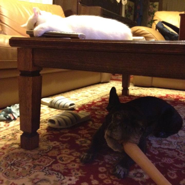 Ea89d5dd ceae 4905 ac74 a57ee7611145 1534215427397