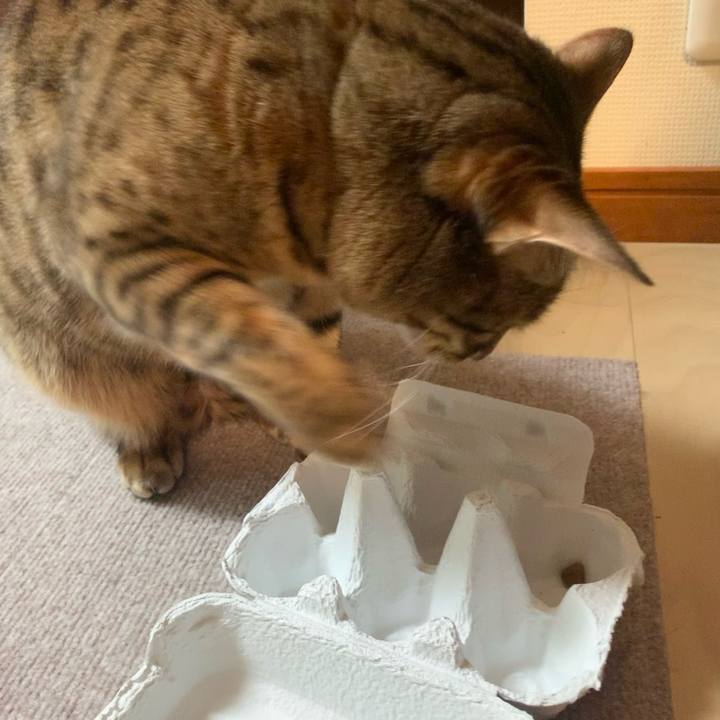 Ea89fa79 4a9b 4eaa 90f5 c0691ccb80a8 1625180977812