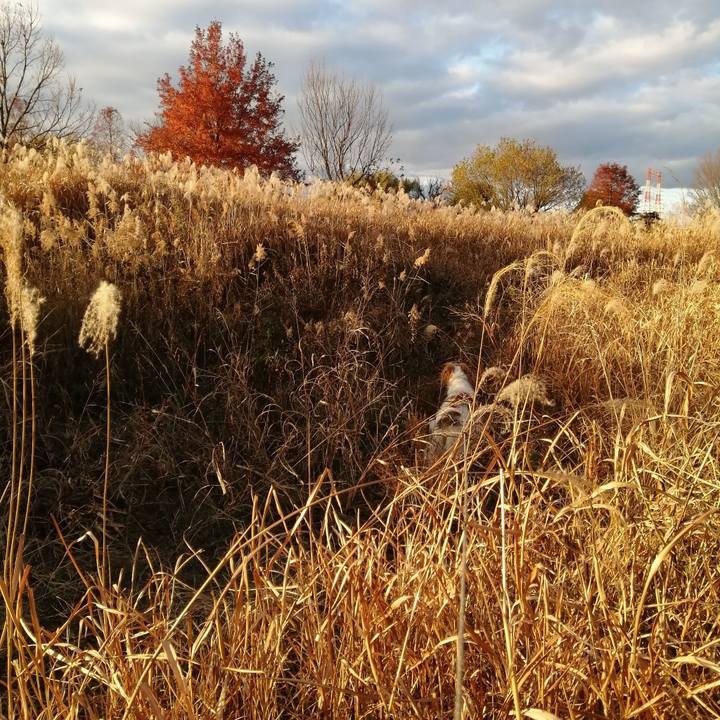 Ea8a06d9 03ef 40a0 9140 feef63e49317 1608463719284