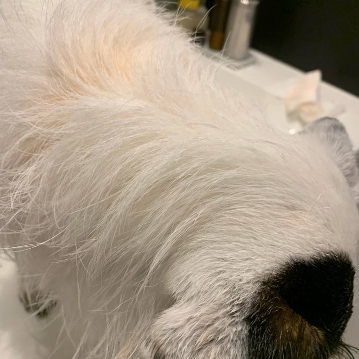 Ea8a3326 7c08 412a bf48 e3b117a9d838 1618364642359