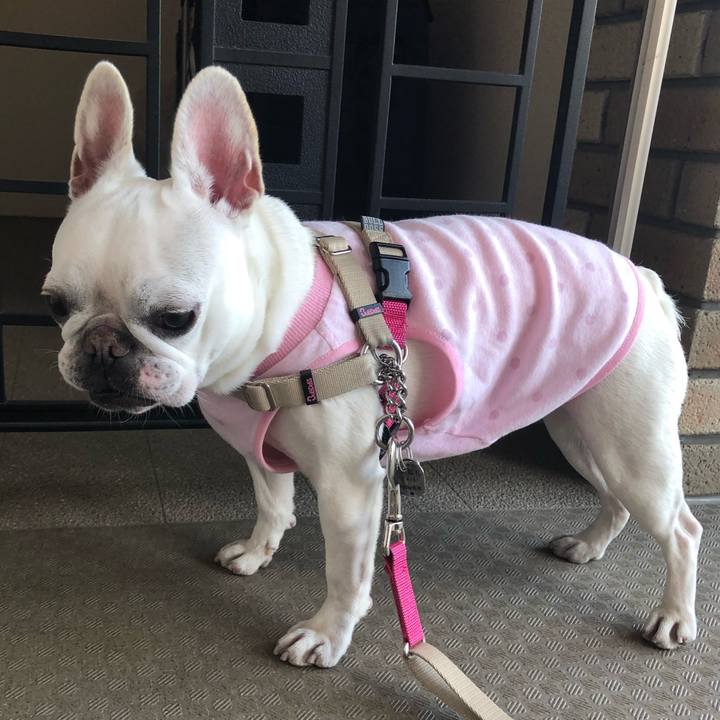 Ea8a4401 5ad9 46be 8988 4a759dec0c27 1553146719994