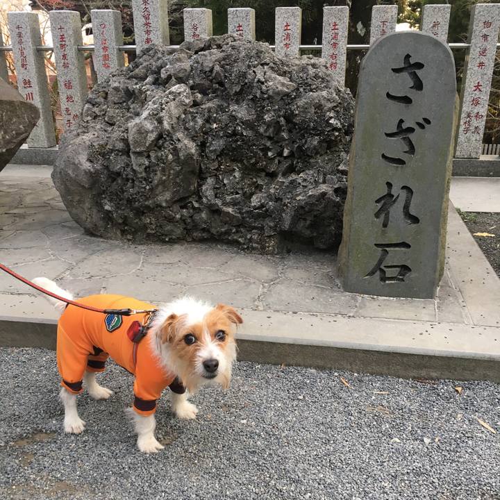 Ea8a4496 fdbb 4543 a890 ab6ef1680744 1511694611145