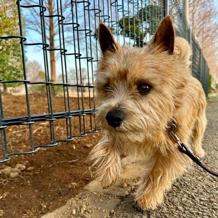 Ea8a5dc5 f69d 444b b782 7ea45d3e3608 1742806636465