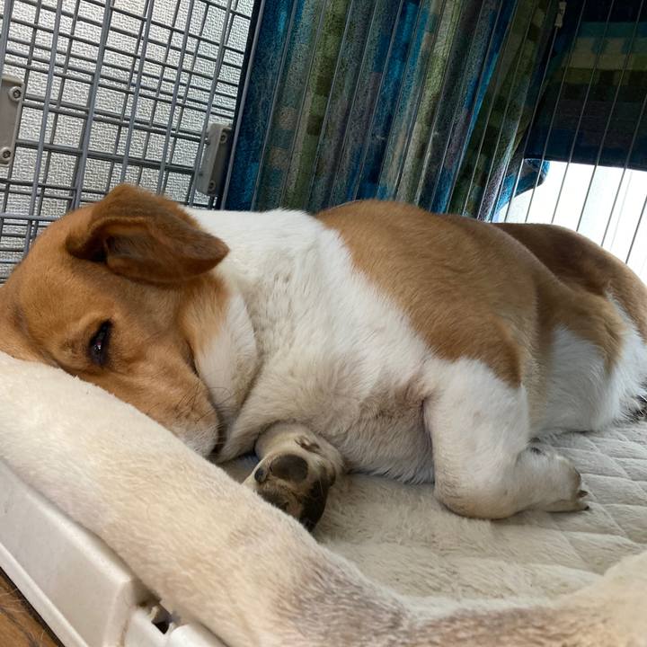 Ea8ab590 08ce 4838 9463 9b55f27c352c 1736508465504