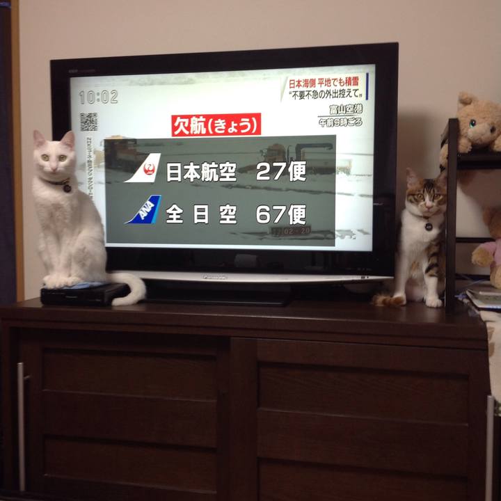 Ea8ace43 f45e 4f90 b229 84ebb7412331 1640480740218