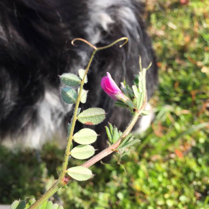 Ea8adbab 6c60 4570 98b6 f694e265cf3a 1583969494788