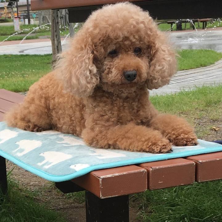 Ea8afaee 4957 45d1 af9d f9a0b73538a2 1536841476773