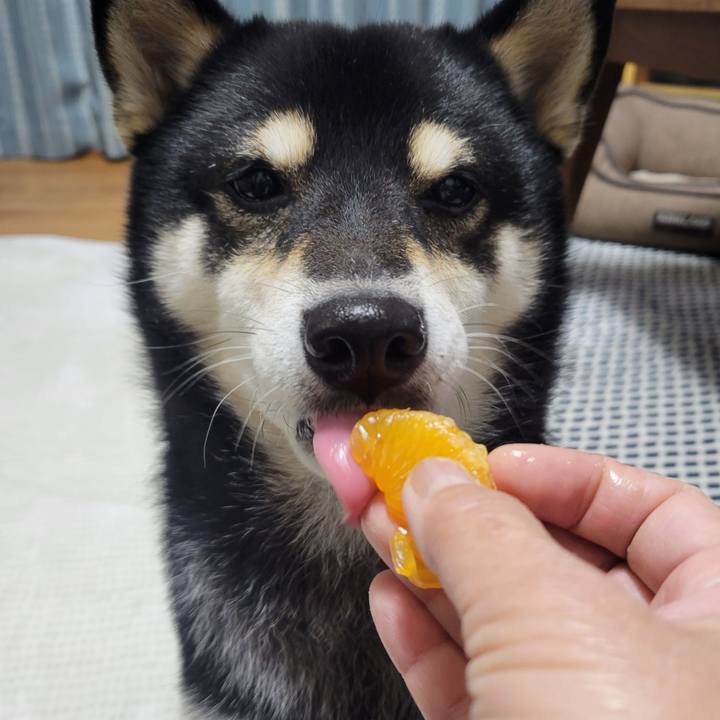 Ea8b2125 6345 4ab2 8946 087d87ce0d24 1761912759387