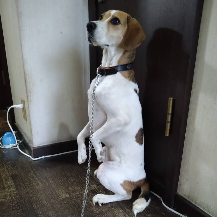 Ea8b3c7d 480a 4351 93fc b3dd7e5fdb78 1628236959405