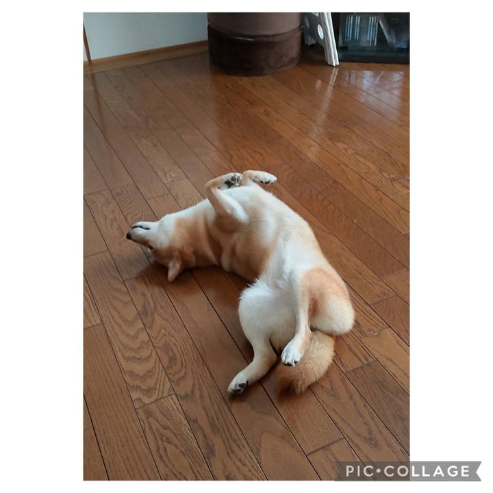 Ea8b3faa 06c6 4972 9ca6 8bcbca7858ef 1689471237531