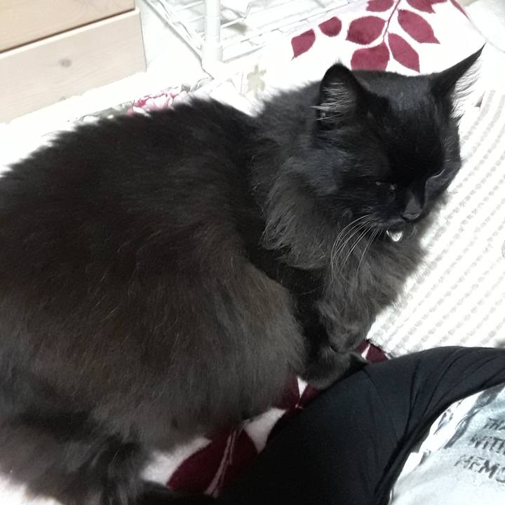 Ea8b4074 23e4 4547 9e00 0bf2fb9b91d9 1523966726765