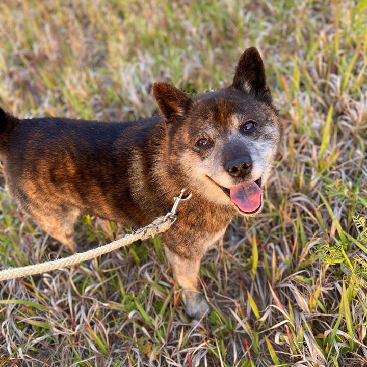 Ea8b4117 b1a8 4229 ba94 774a981e928e 1652782725771