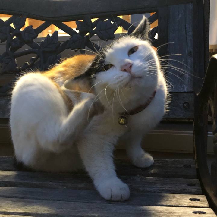 Ea8b6879 2d6b 4603 89cf bd910cc2ed1c 1615899053378