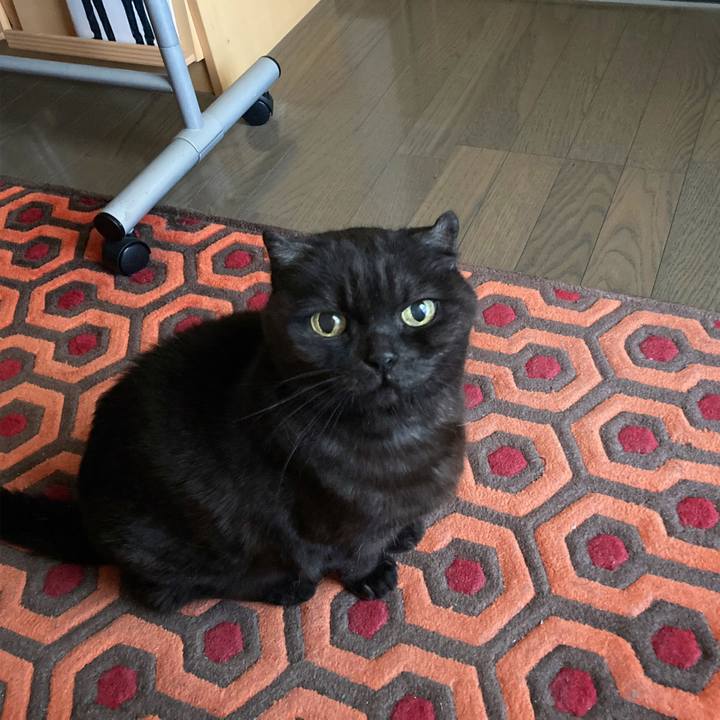 Ea8ba31b 98b8 49c9 aeb9 233fb37dbde1 1613522367476