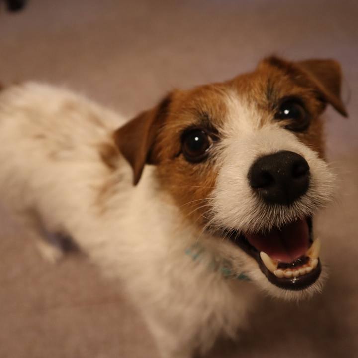 Ea8bc99a 01d4 44d1 aa82 891ae8be764a 1571484024203