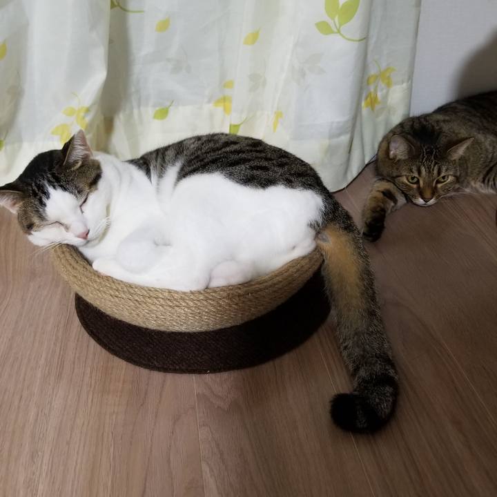 Ea8bce2e 12b6 4813 a8ab 30f4ab852651 1599395301224