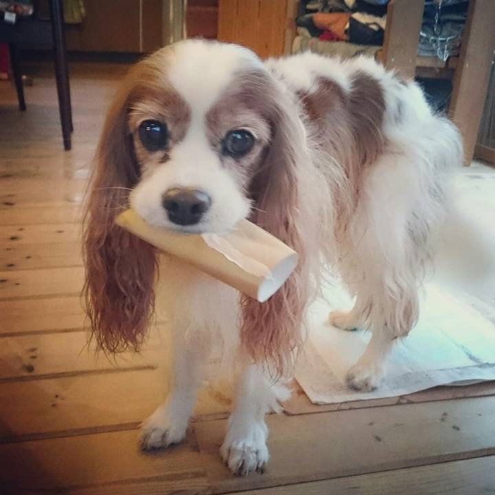 Ea8bddc9 12b8 4262 a77f 612670bc08df 1543789465375