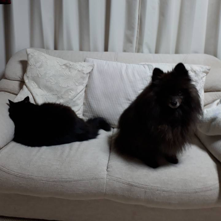 Ea8c0a44 702b 4bf5 a2af 97099834f34c 1516775620843