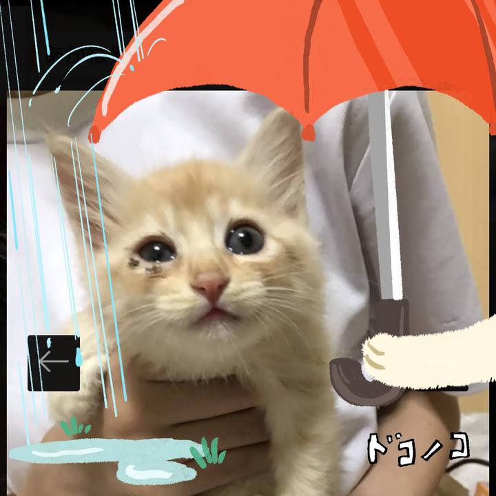 Ea8c5381 7d9d 4116 a912 01c727a5cf0f 1749434405015