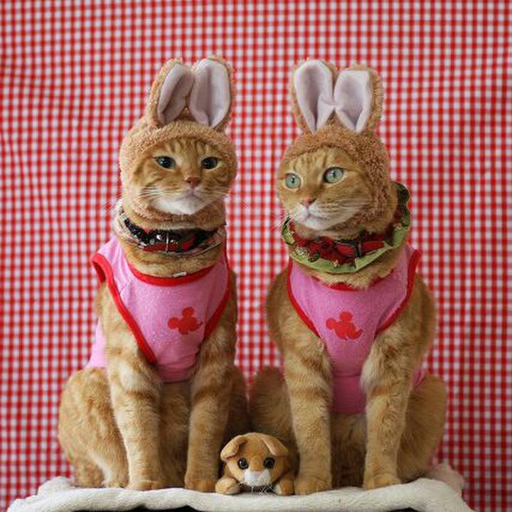 Ea8c6afc 1d33 4614 80ea 56dda71e24d9 1509209558682