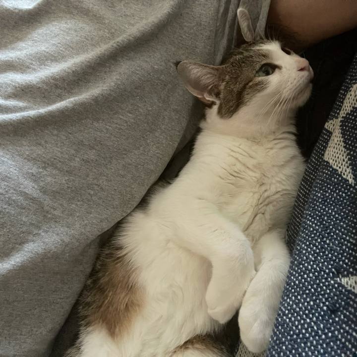 Ea8c7c86 1bb9 4dae 87ed b2037cff127e 1628406973218