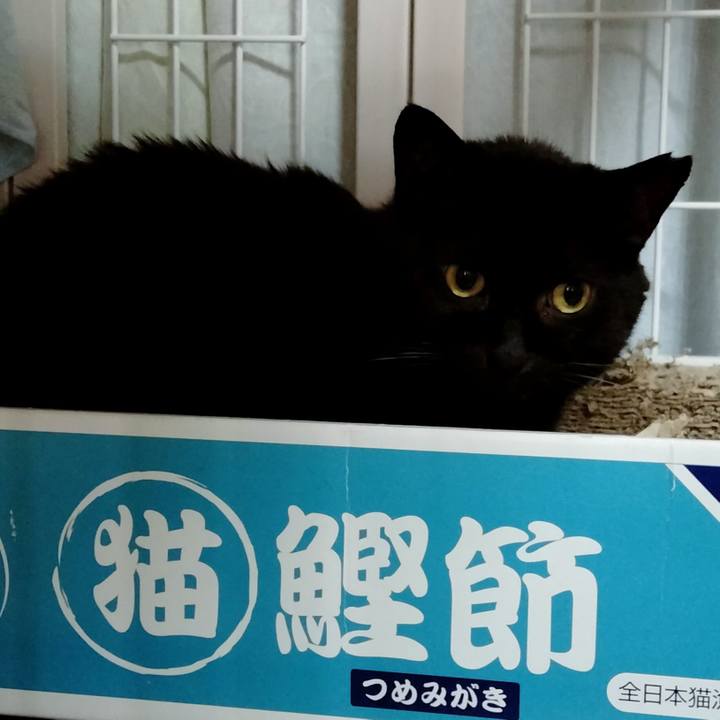 Ea8cae43 651b 4070 8088 99b37f1f0a8d 1658875976618