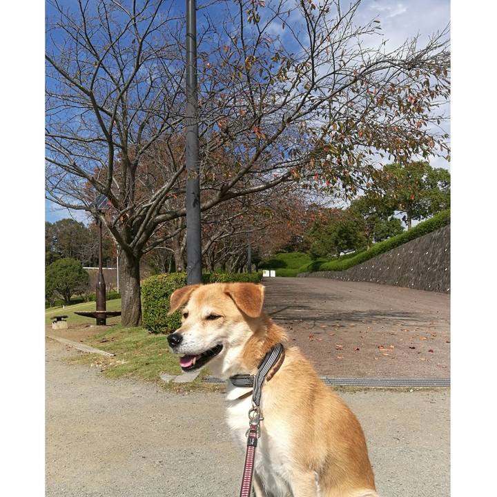 Ea8cedb6 03fe 4afc b507 c1af80a639a0 1540372351032