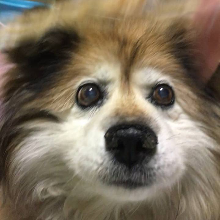 Ea8d12bb 9614 4bb1 9e40 869dd244d2fc 1604020808341