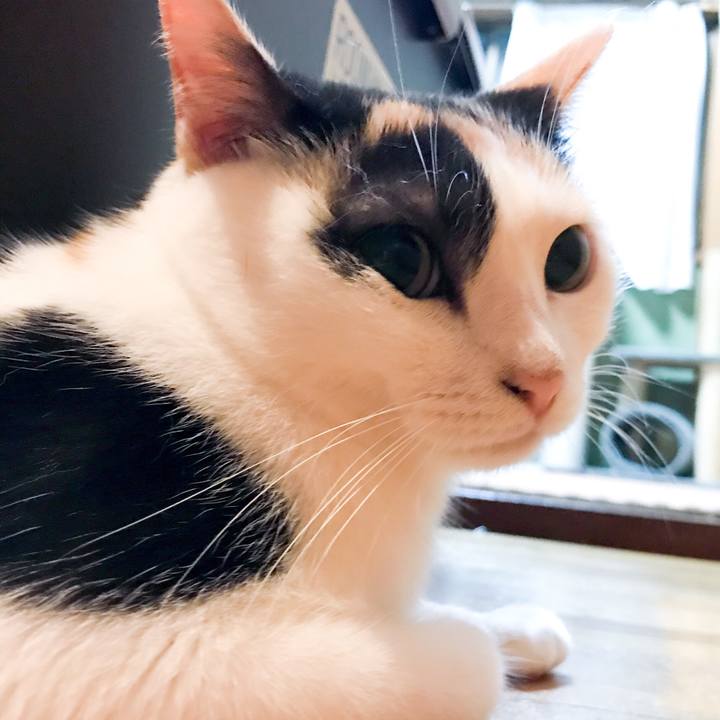 Ea8d47f5 3473 42a4 887c 4e6d5f85e12d 1533993227331