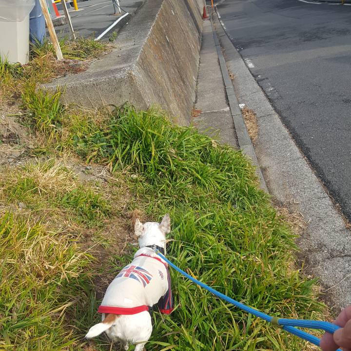 Ea8d4ba6 0985 4b03 8674 63abe3539019 1548914735604