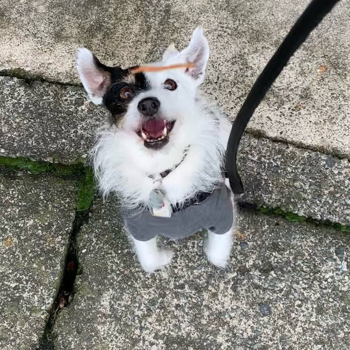 Ea8d628f 9002 4eab 9447 9ed4f27e44f2 1715651587657