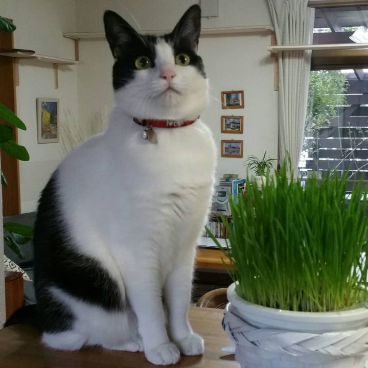 Ea8d67e0 ada7 4ab0 a5ee 45ef322dd53c 1538607150861